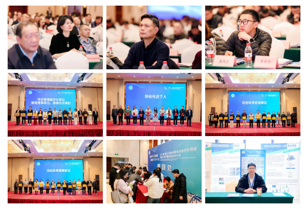 1740982573156163.png 1740982567862.png